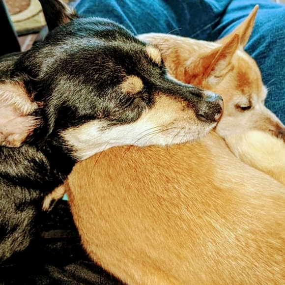 Meet your Posher, Marcy - Picture 13 of 16